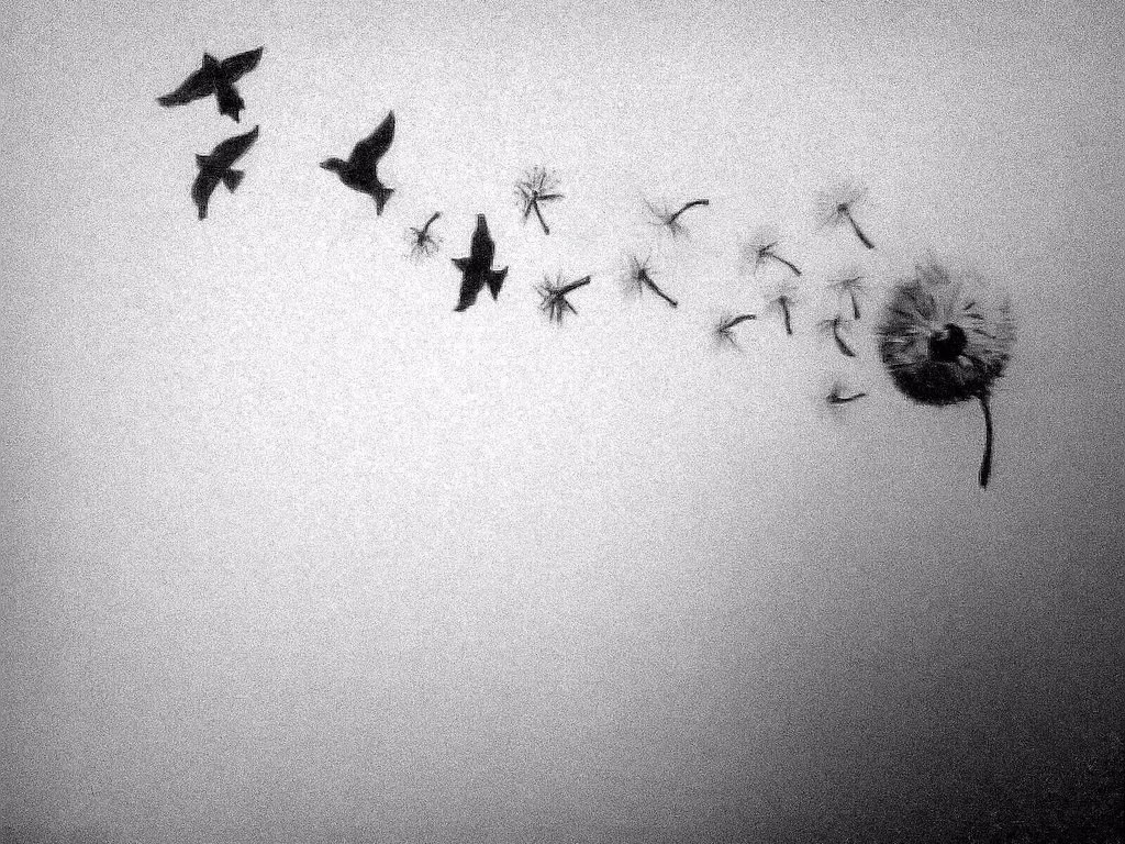 Prijatelji ranjenog sveta